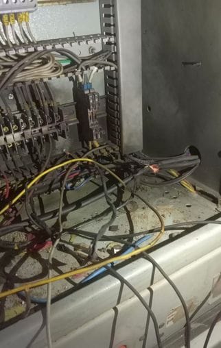 The jumping of monkeys caused a fire in the wiring, electricity was cut off for nine hours