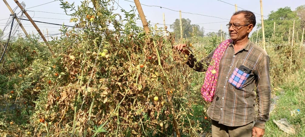The power line has not been repaired even after ten days, farmers are worried