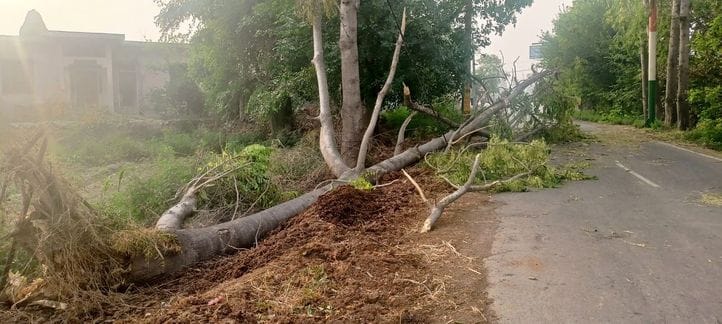90 trees and 41 electricity poles fell due to storm and rain, electricity restored after 7 hours and 40 minutes
