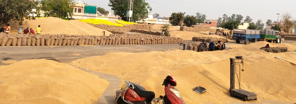 Procurement agencies should ensure timely and speedy lifting of wheat crop: Pradhan Vedpal
