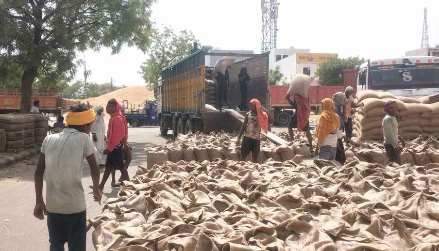 Wheat payment of Rs 137.49 crore of 7692 farmers and mustard payment of Rs 29.35 crore of 2269 farmers is stuck