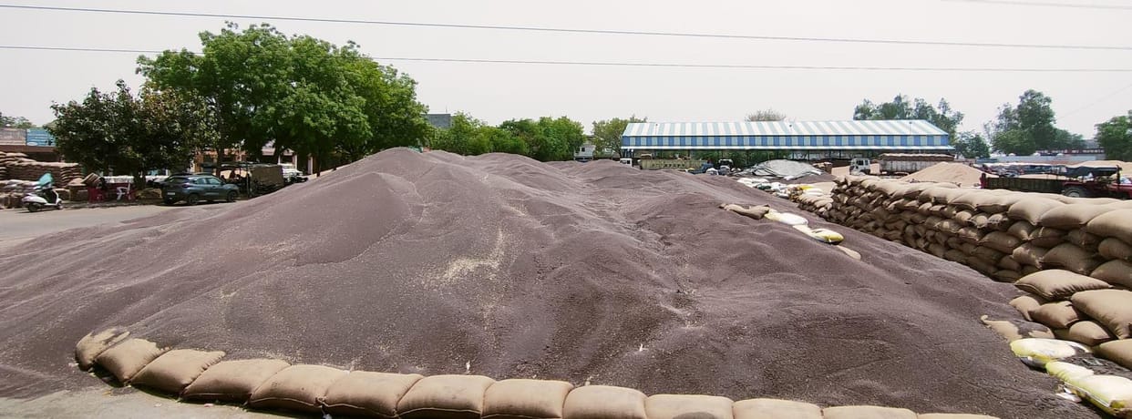 The agency bought mustard worth 205 crores from farmers, but only 131 crores were paid