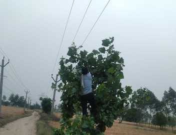 Electricity system in the district is disrupted due to rain and storm