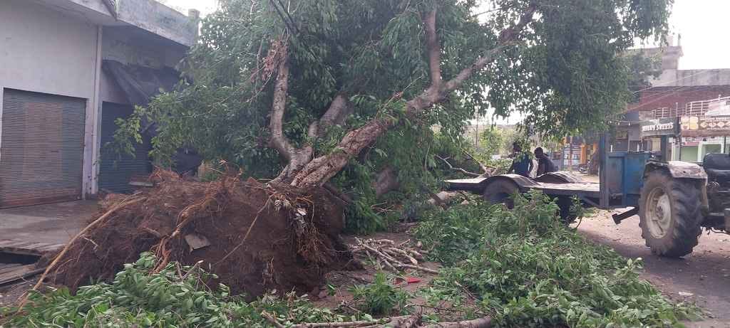 200 poles fell due to storm in the district, 70 transformers got damaged