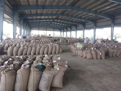 180.24 crore rupees deposited in the accounts of 15 thousand farmers