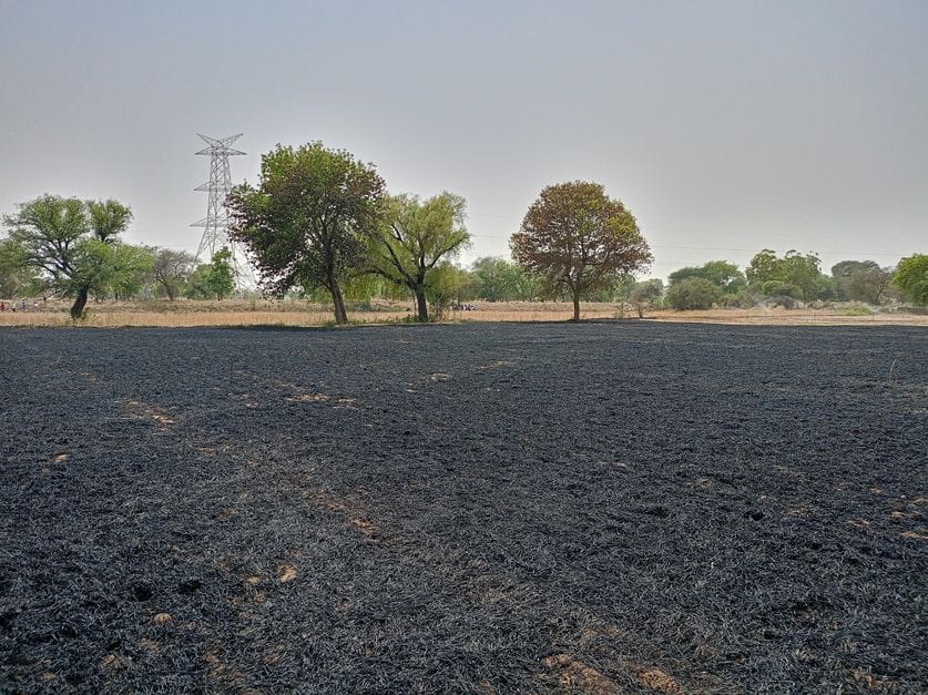 Five acres of wheat crop burnt due to short circuit