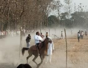 Chetak of Kushinagar won the race