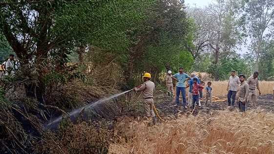 40 Kanal wheat crop in Takka burnt down, hard work of farmers turned to ashes