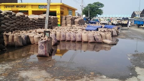 Rain along with storm increased the concern of farmers