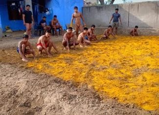 There is not a single government nursery to provide training in wrestling