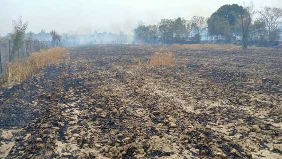 Wheat crop turned to ashes on 250 Kanal land in Nakaroh and Gondpur Banehda