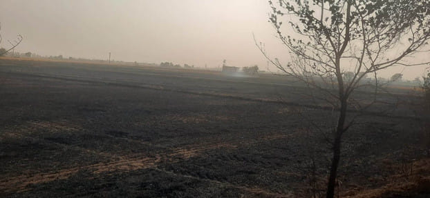 One thousand acres of wheat straw burnt due to fire