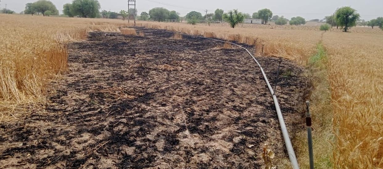 More than 1 acre of wheat crop was burnt in village Kakadauli Hukumi