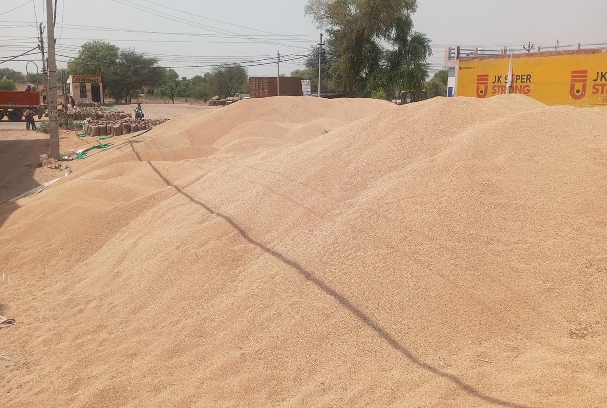Warehouse confined to papers, dreams of farmers scattered in fields