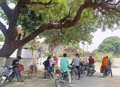 Oh! This heat: ... I can get the shade of a dense tree