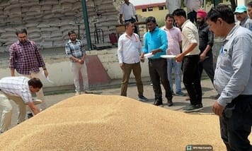 The team arrived to check the wheat damaged due to rain, took samples from the procurement centers