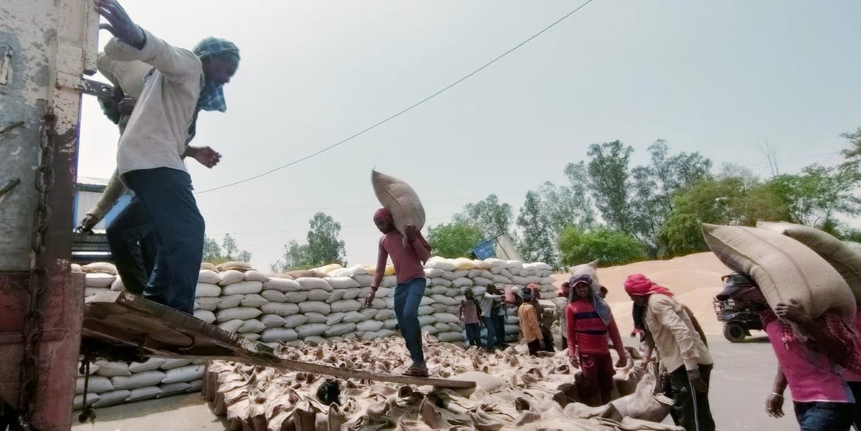 90 thousand quintals of mustard and 95 thousand quintals of wheat are yet to be lifted from the mandis