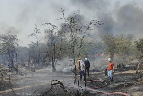 Five bighas of forest caught fire under suspicious circumstances