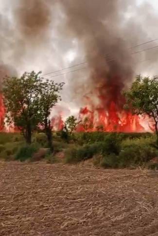 Sugarcane crop burnt in Gorakhpur, fire could be extinguished in 3 hours