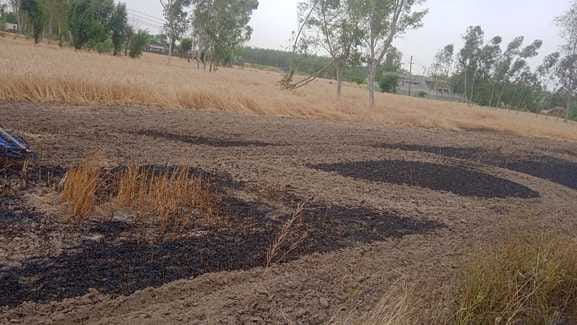 Wheat crop in two kanal land in Mand Sanaur was destroyed by fire