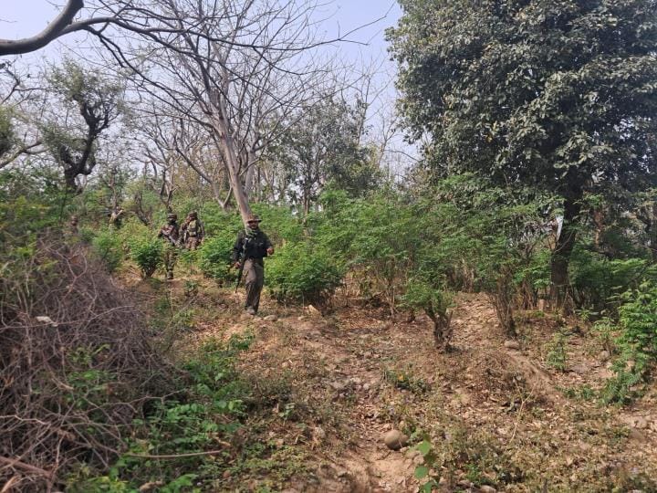 Security forces searched the Kandi forests on the second day as well