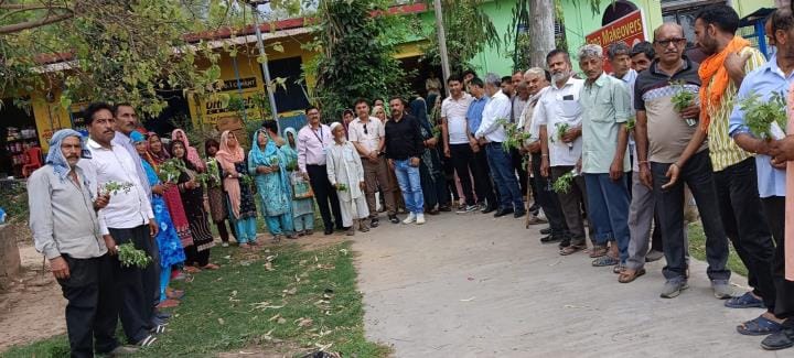 Agriculture Department Nagarota Gujru distributed plants among farmers in Makwal and Amuala