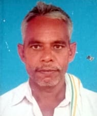 Farmer dies in bee attack, wife and three daughters injured