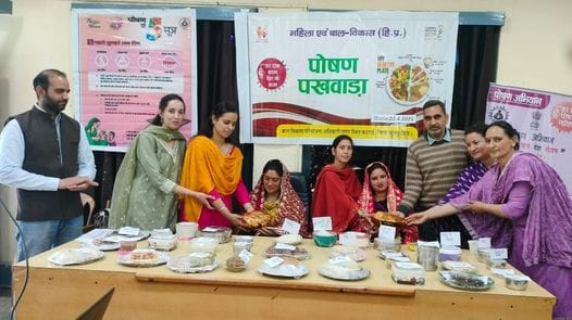 Disabled equality, protection and empowerment campaign completed in Kullu