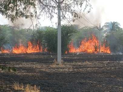 Fire broke out in the fields, firefighters reached and extinguished it