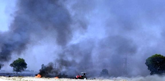 80 acres of crop residue burnt due to fire