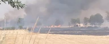 Two acres of wheat and 300 acres of wheat burnt in fire in three villages