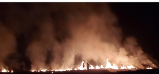 The farmer himself set his field on fire, ran away after seeing the police coming