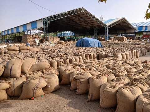 Grain market filled with crops, wheat lifting process slow