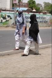 The havoc of summer...the scorching sun and hot winds scorched