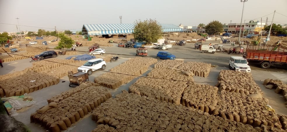 Arrival started decreasing, wheat lifting reached 51%
