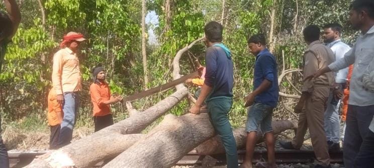 Tree fell on railway track in Katarniaghat, passenger train stood still for 45 minutes