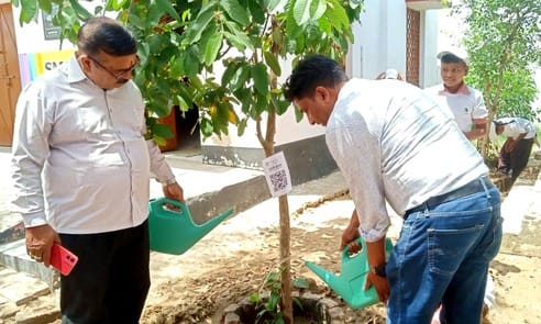 Every tree in Dahemu's school has a QR code, children will be updated after scanning it