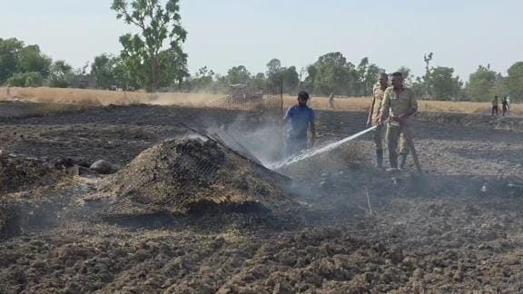 40 Kanal crops burnt due to fire