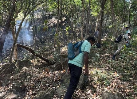 Miscreants set fire to the forest of Ramgarh Dhar Range