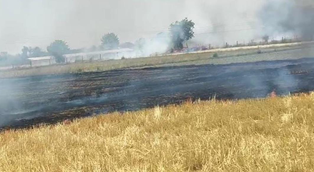 10 bigha wheat burnt to ashes due to fire