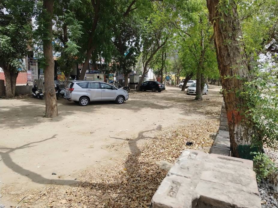 Greenery was lost to grazing, officers kept installing marble and grills in the green belt
