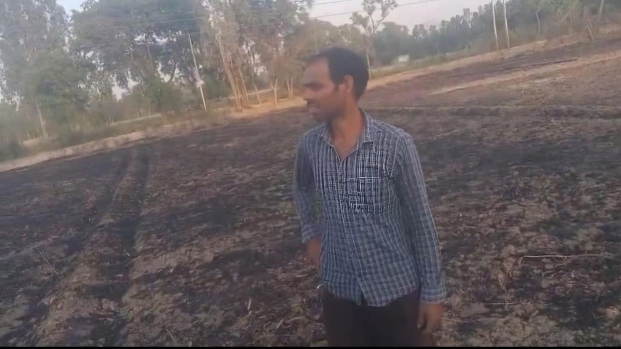 Seven bighas of wheat crop turned to ashes due to spark from HT line