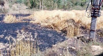 Sparks came out from the transformer in Ghanari, wheat crop burnt due to short circuit