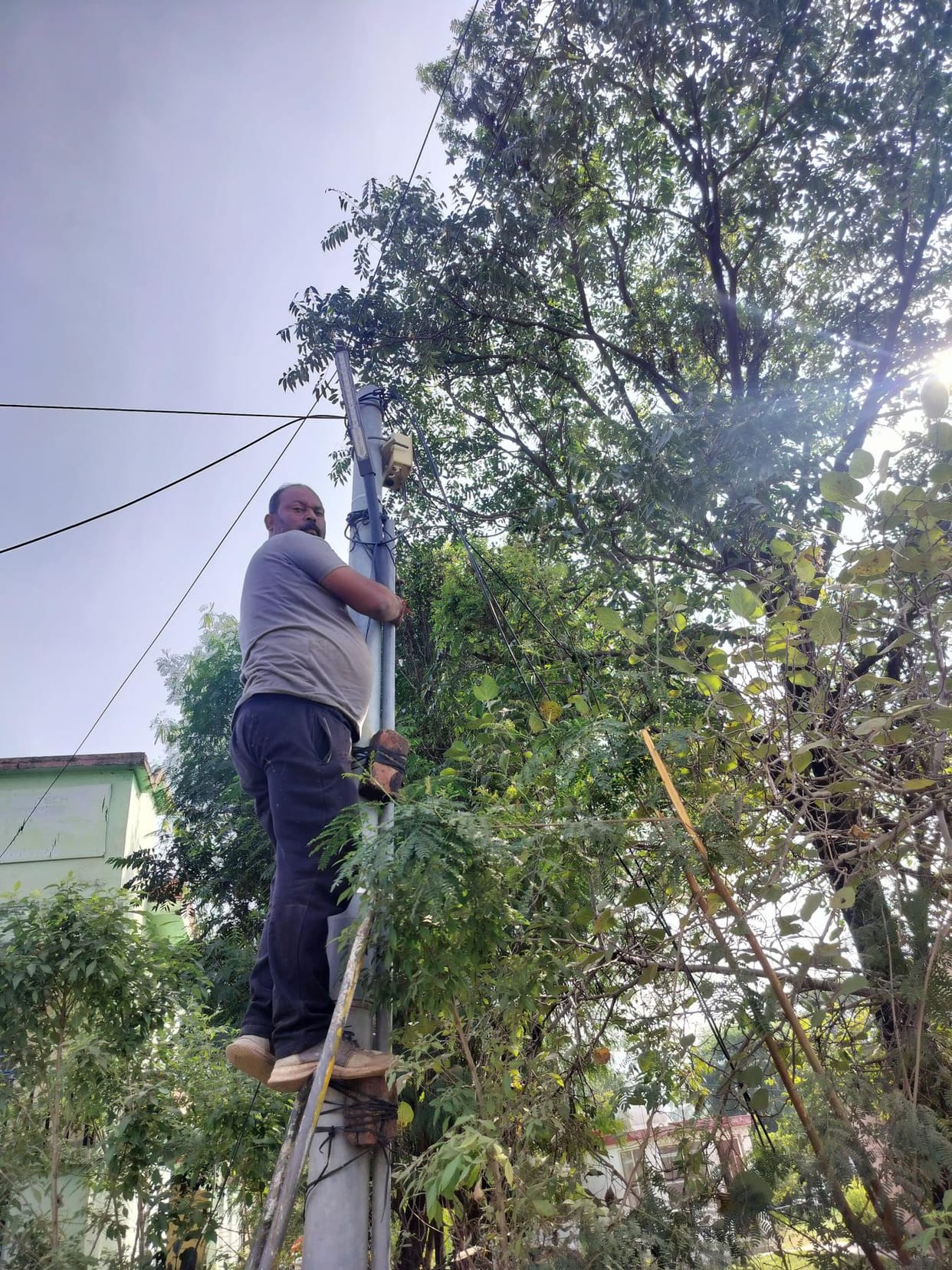 Employees of the city committee are busy repairing faulty lights