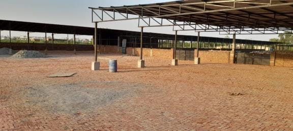 Flooring was made in the Nandishala of Nagar Parishad at a cost of 20 lakhs, arrangement will be made for comfortable seating of 400 Nandis