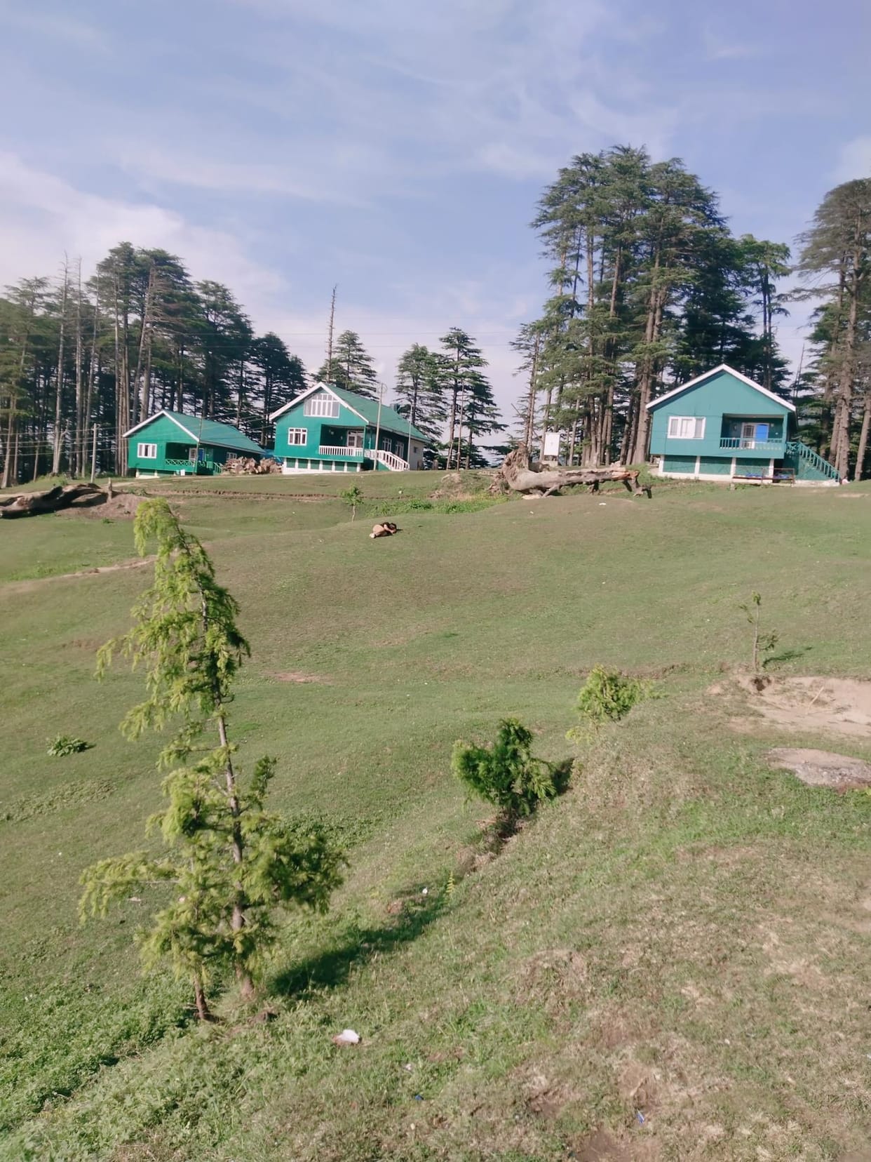 Tourist Gone Home From Patnitop