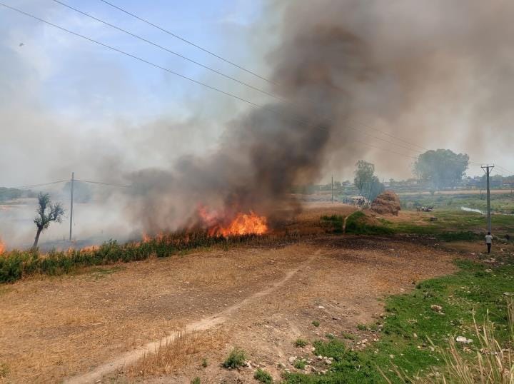 wheat fire