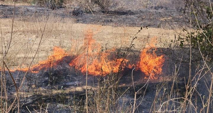 Straw, stubble and bushes burnt due to sparking