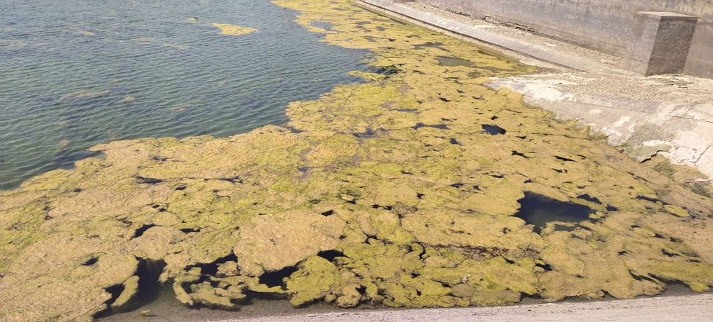 Claims of cleanliness floating in 3 feet silt of Jal Ghar