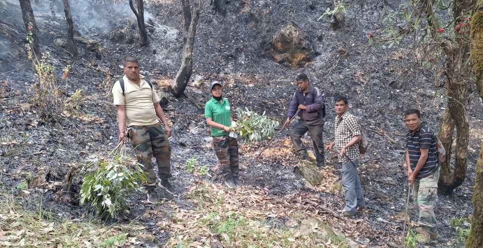 forest Fire: forests of Reethia forest panchayat have been burning for two days